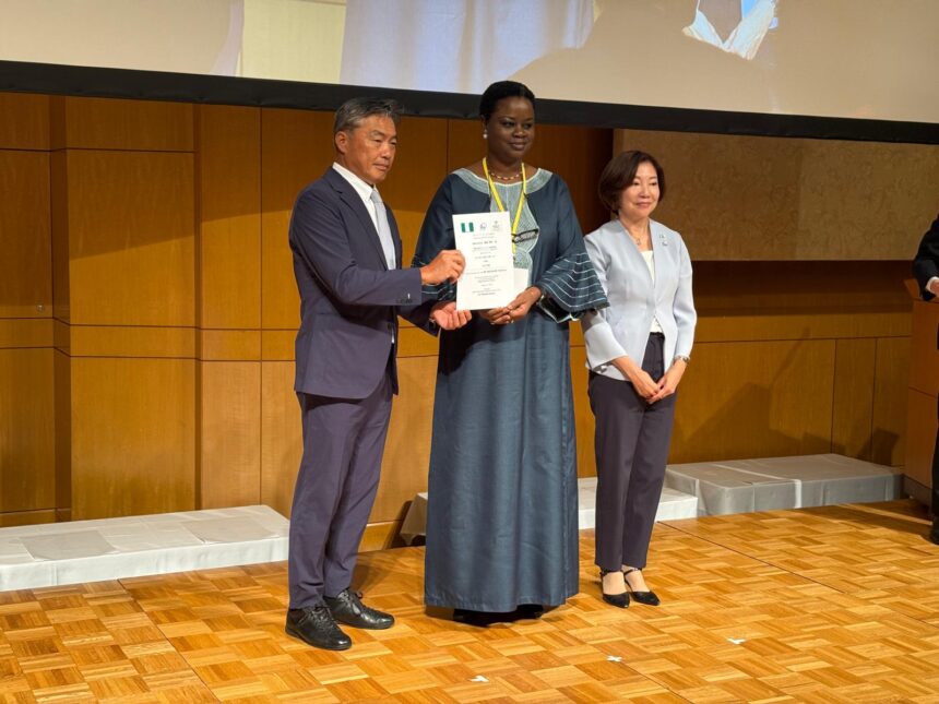 What To Know About Kisarazu City In Japan Where Nigerians Can Settle