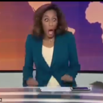 Did Rat disrupt AlJazeera's Live News Broadcast?
