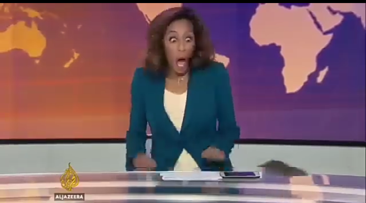 Did Rat disrupt AlJazeera's Live News Broadcast?