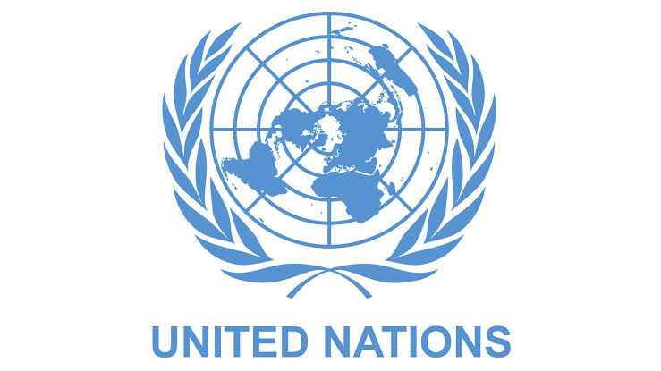 Does The UN Have The Power To Interfere In Nigeria’s State Affairs?